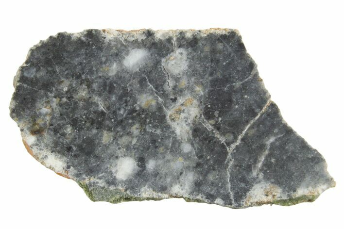 Lunar Meteorite ( g) Slice - Bechar #348169